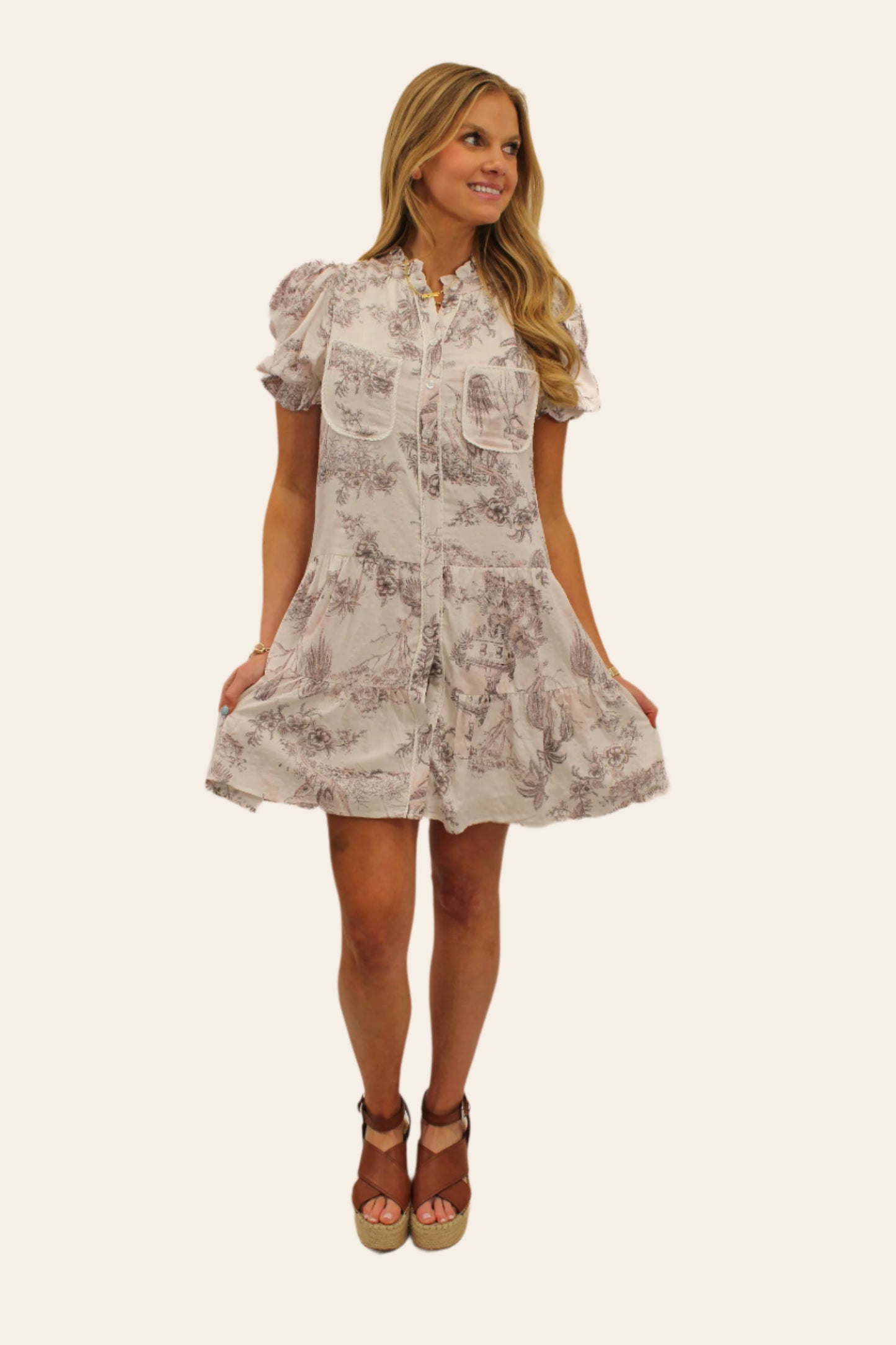 Trish Toile Dress