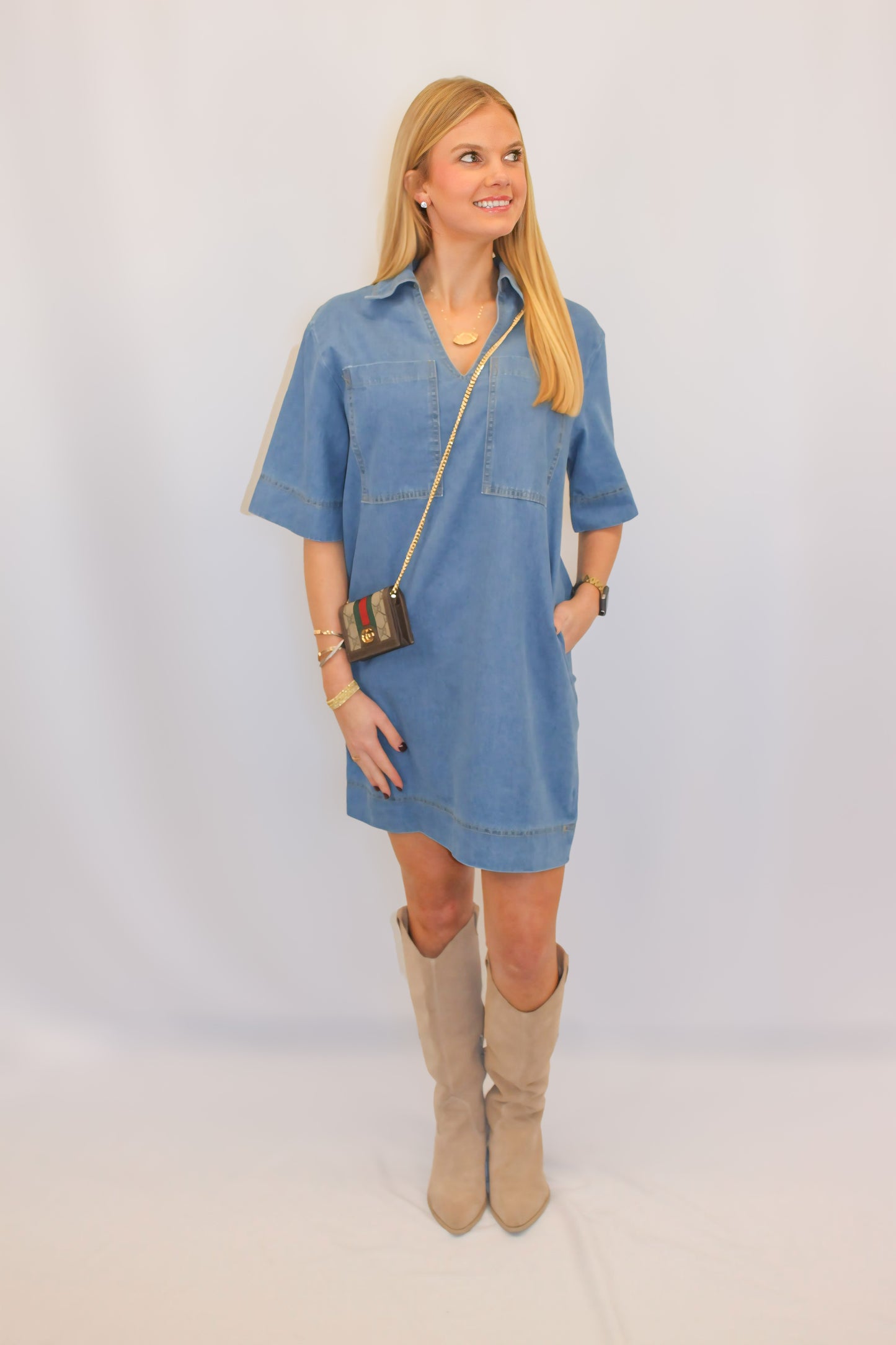 Clara Denim Dress