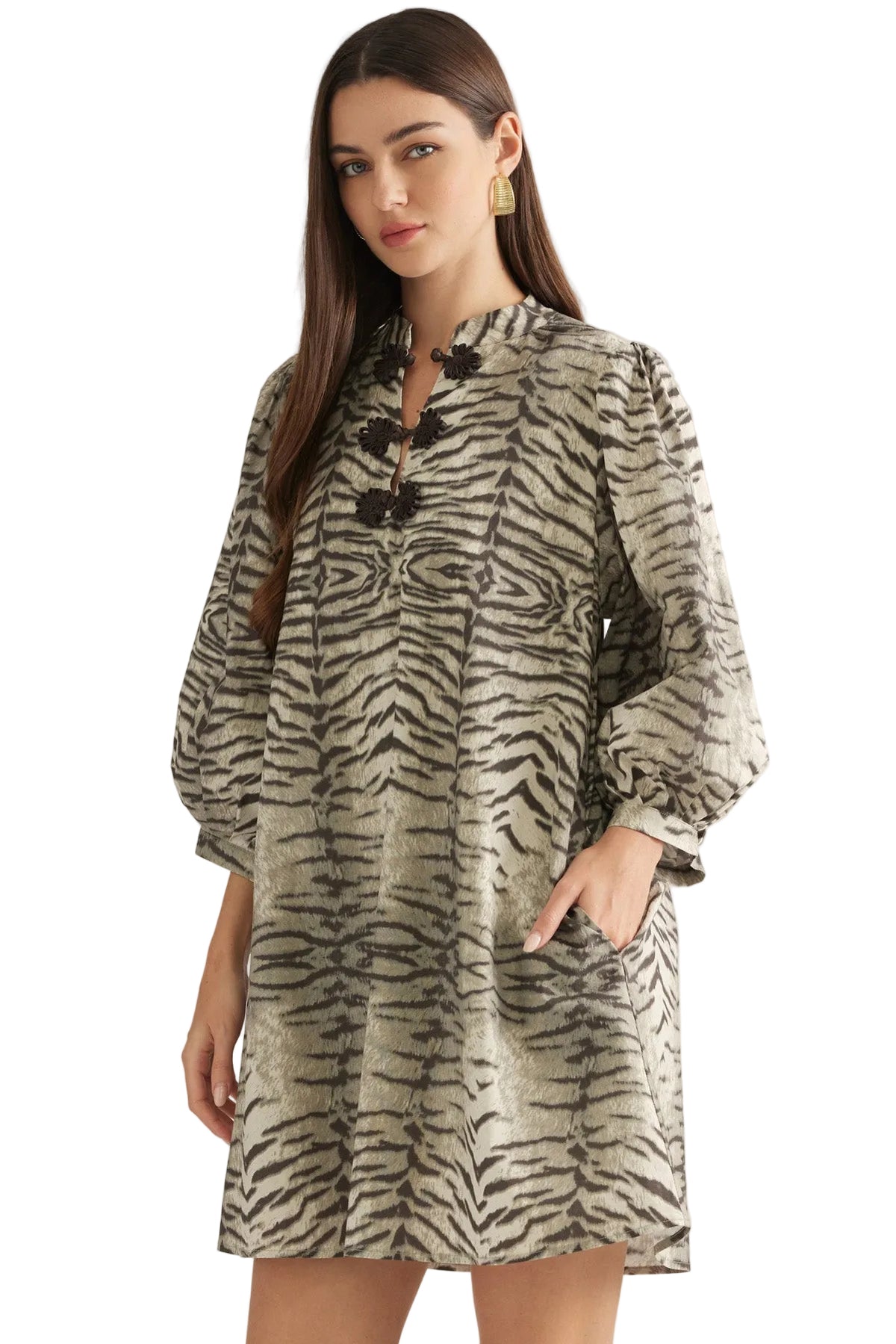 Kashi Dress