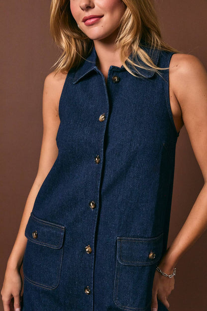 Ami Denim Dress